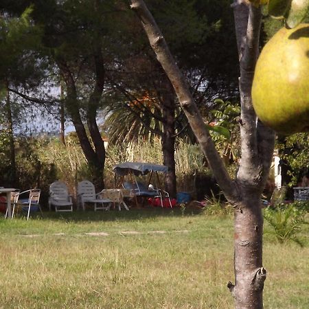 Pefka Studios & Apartments Chalkidiki Exterior foto