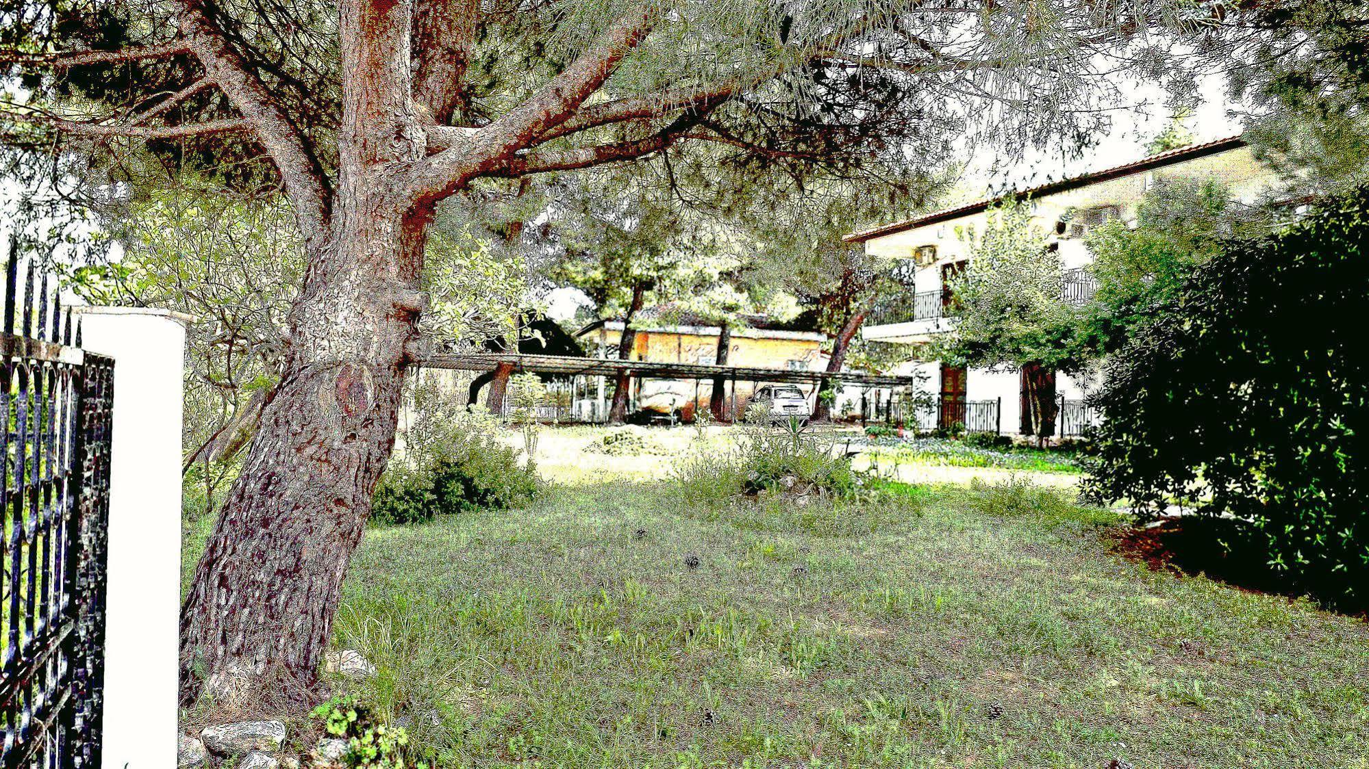 Pefka Studios & Apartments Chalkidiki Exterior foto